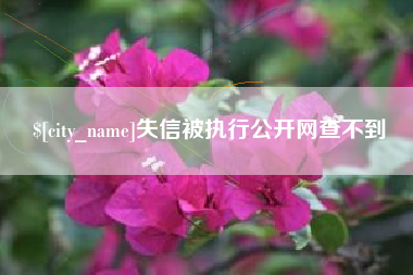 沙洋失信被执行公开网查不到