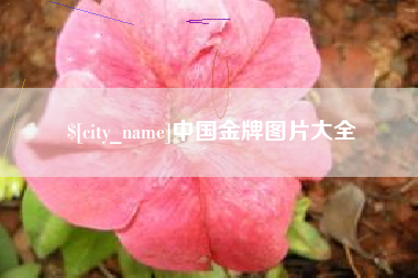 沙洋中国金牌图片大全