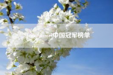 沙洋中国冠军榜单