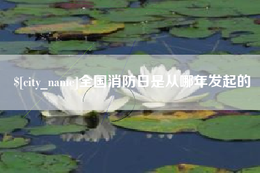 沙洋全国消防日是从哪年发起的