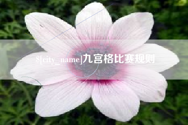 沙洋九宫格比赛规则
