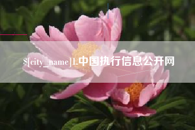 沙洋1.中国执行信息公开网