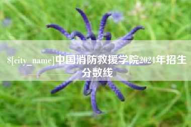 沙洋中国消防救援学院2024年招生分数线