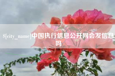 沙洋中国执行信息公开网会发信息吗