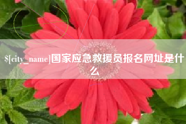 沙洋国家应急救援员报名网址是什么