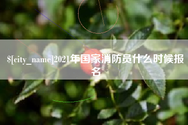 沙洋2021年国家消防员什么时候报名