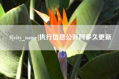 沙洋执行信息公开网多久更新