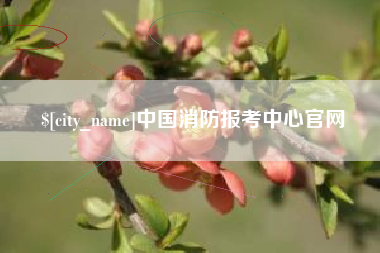 沙洋中国消防报考中心官网