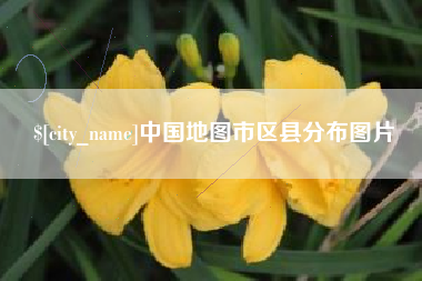 沙洋中国地图市区县分布图片
