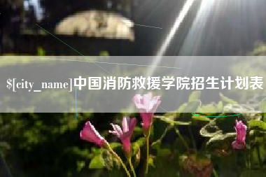 沙洋中国消防救援学院招生计划表