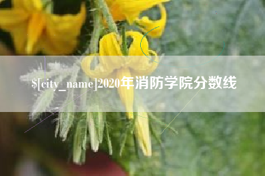 沙洋2020年消防学院分数线