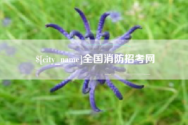 沙洋全国消防招考网