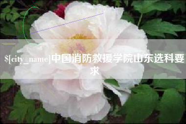 沙洋中国消防救援学院山东选科要求