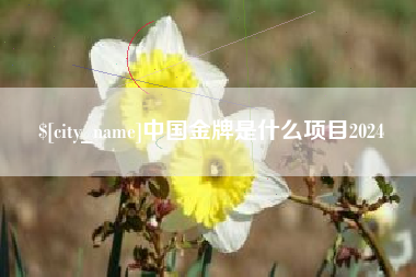 沙洋中国金牌是什么项目2024