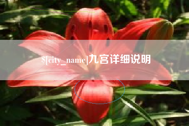 沙洋九宫详细说明
