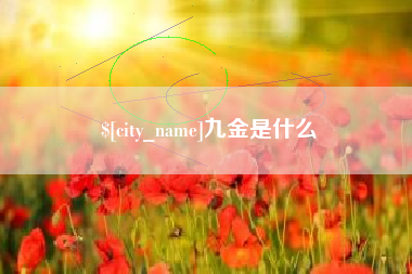 沙洋九金是什么