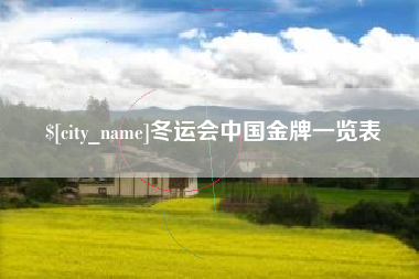 沙洋冬运会中国金牌一览表
