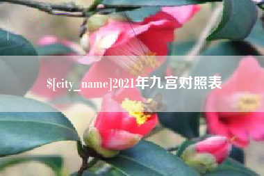 沙洋2021年九宫对照表