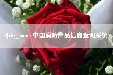 沙洋中国消防产品信息查询系统1