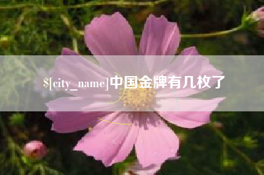 沙洋中国金牌有几枚了
