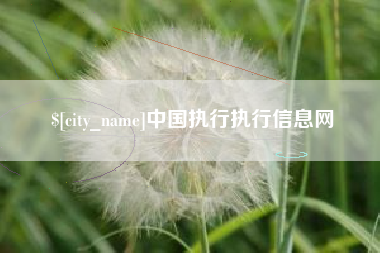 沙洋中国执行执行信息网