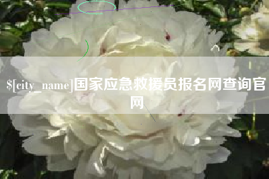 沙洋国家应急救援员报名网查询官网