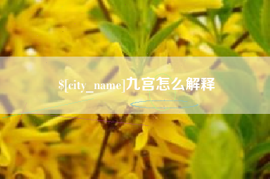 沙洋九宫怎么解释