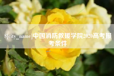 沙洋中国消防救援学院2020高考报考条件