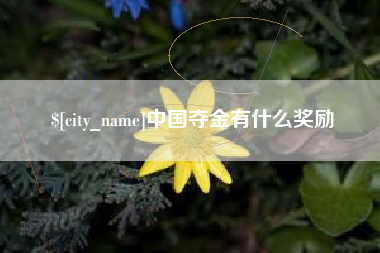 沙洋中国夺金有什么奖励