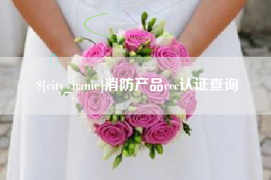 沙洋消防产品ccc认证查询