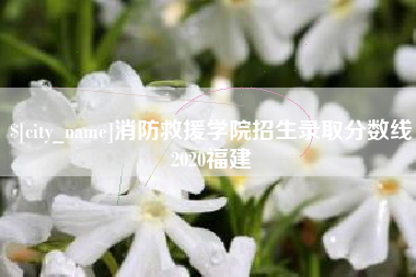 沙洋消防救援学院招生录取分数线2020福建