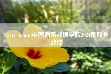 沙洋中国消防救援学院2021录取分数线