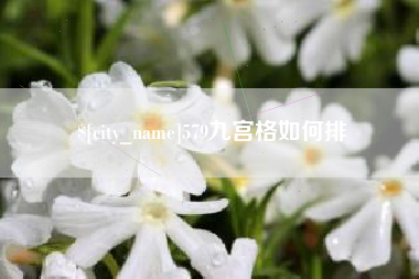沙洋579九宫格如何排