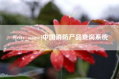沙洋中国消防产品查询系统