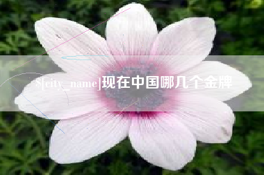沙洋现在中国哪几个金牌