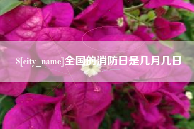 沙洋全国的消防日是几月几日