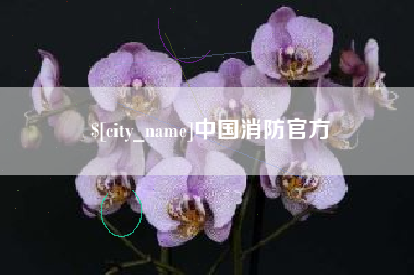 沙洋中国消防官方