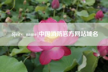 沙洋中国消防官方网站域名