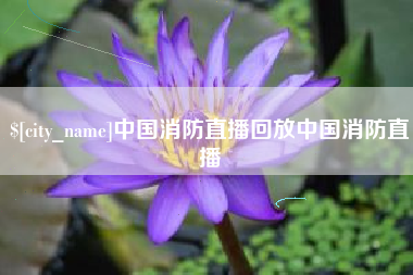 沙洋中国消防直播回放中国消防直播