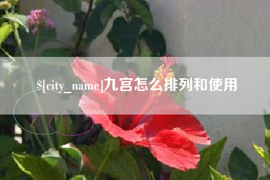 沙洋九宫怎么排列和使用