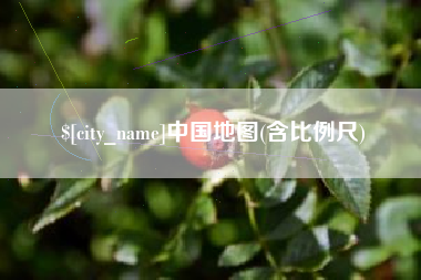 沙洋中国地图(含比例尺)