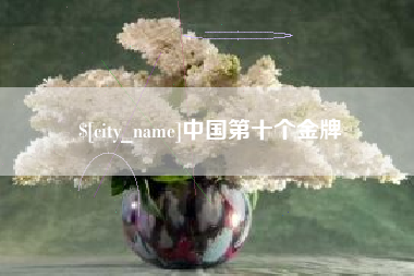 沙洋中国第十个金牌