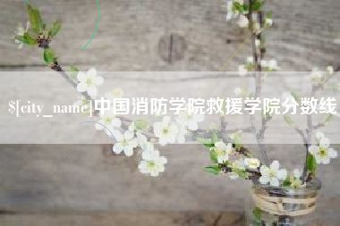 沙洋中国消防学院救援学院分数线