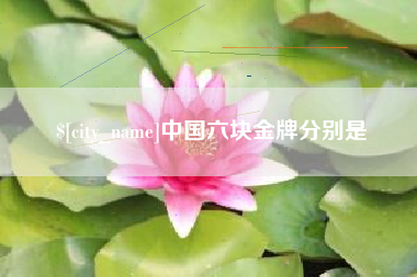 沙洋中国六块金牌分别是