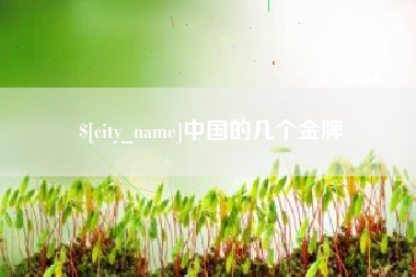 沙洋中国的几个金牌