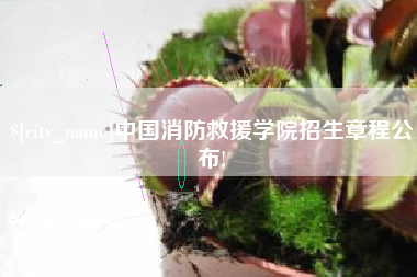 沙洋中国消防救援学院招生章程公布!