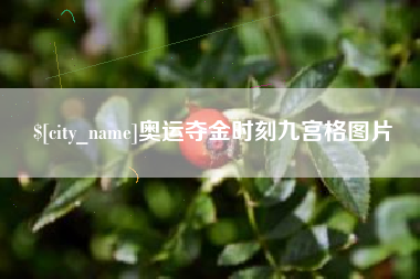 沙洋奥运夺金时刻九宫格图片