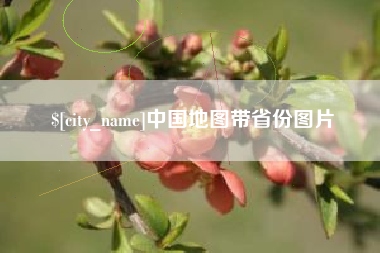 沙洋中国地图带省份图片