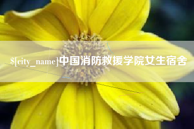 沙洋中国消防救援学院女生宿舍
