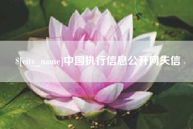 沙洋中国执行信息公开网失信